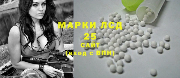 apvp Бородино