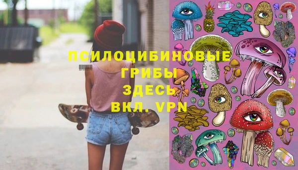 apvp Бородино