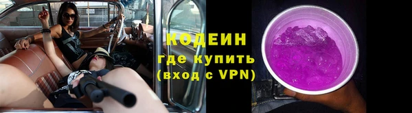 apvp Бородино